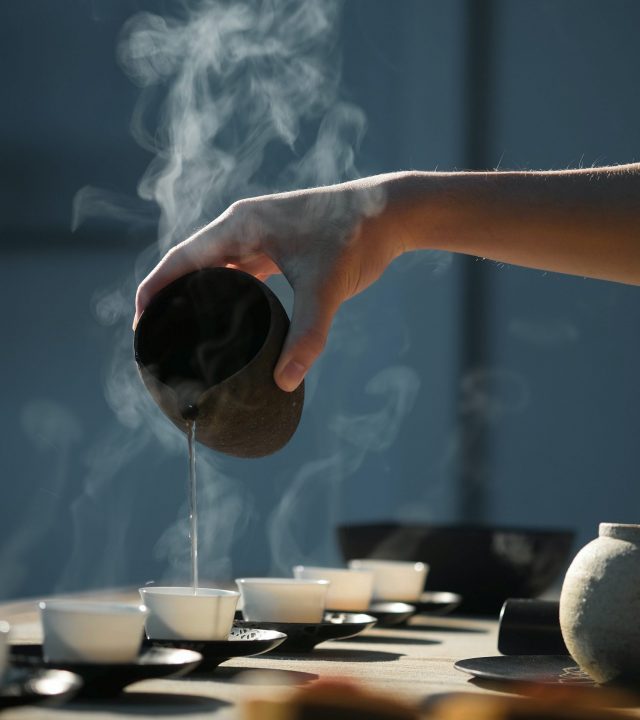 Cours de vocabulaire de médécine chinoise avec demonstration à l'aide d'aliments chauds de médecine chinoise.